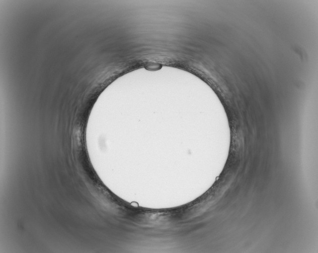 X0000111250117200908131215