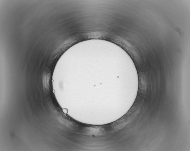 X0000111250118200908131215