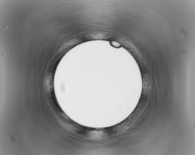 X0000111250119200908131215