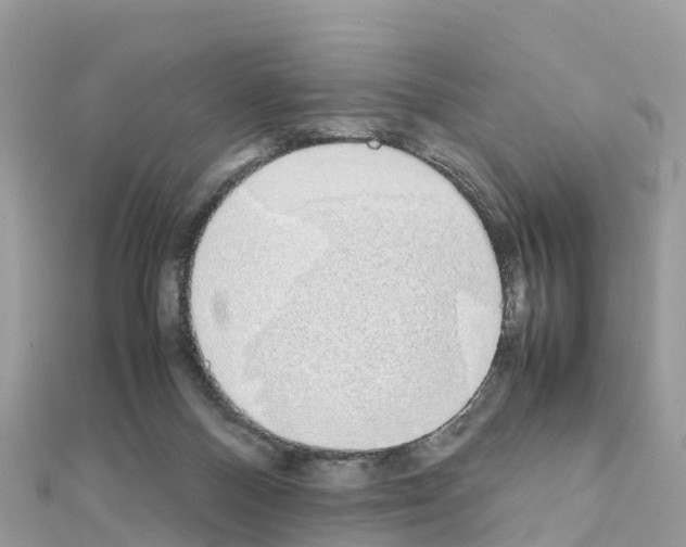 X0000111250120200908131215