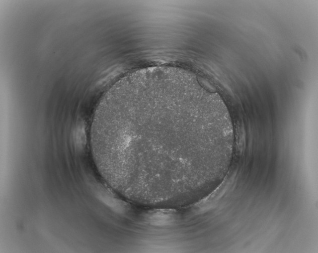 X0000111250128200908131215