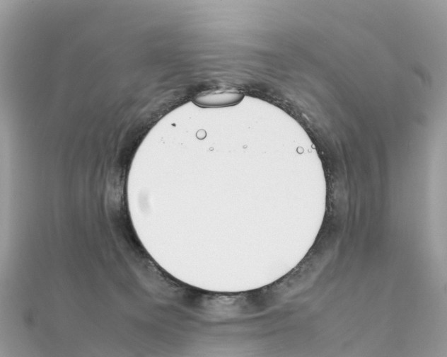 X0000111250129200908131215