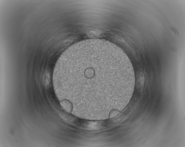 X0000111250130200908131215