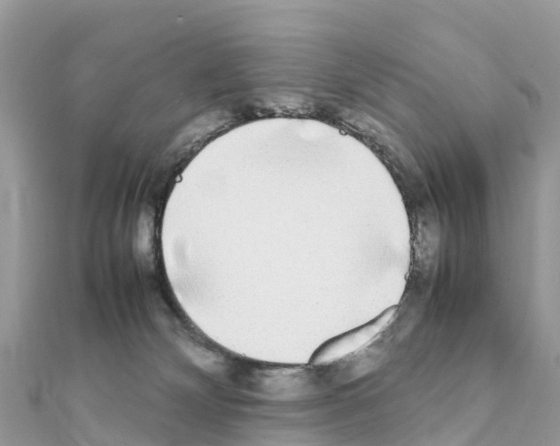 X0000111250132200908131215