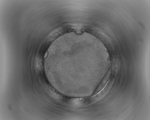 X0000111250136200908131215