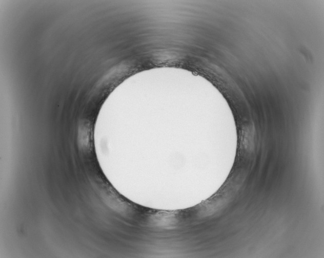 X0000111250138200908131215