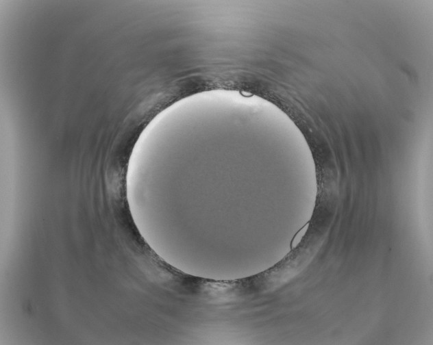 X0000111250139200908131215