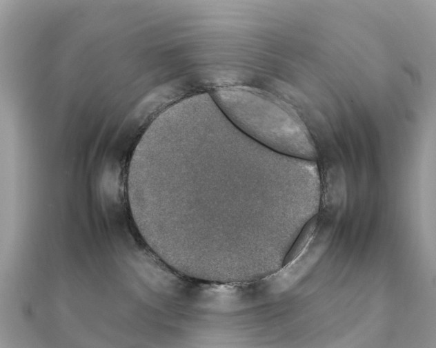 X0000111250140200908131215