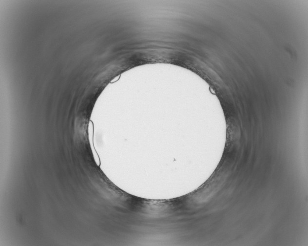 X0000111250141200908131215