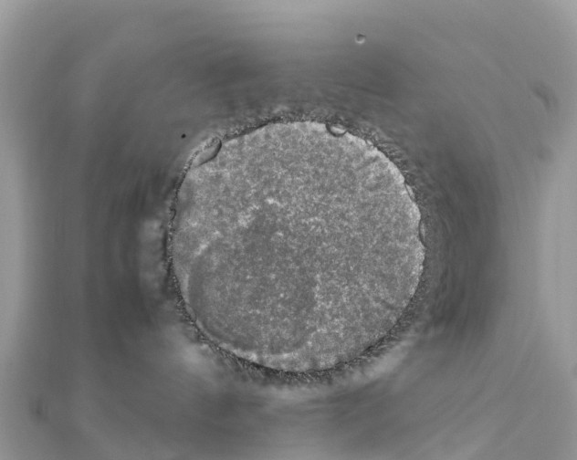 X0000111250144200908131215