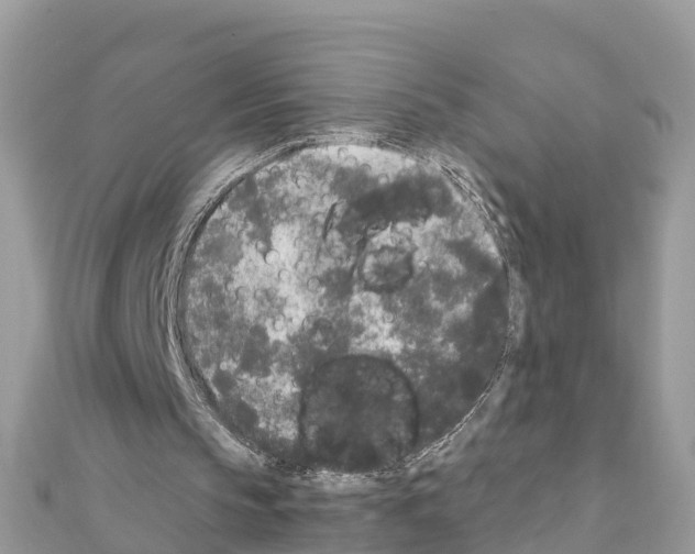 X0000111250145200908131214