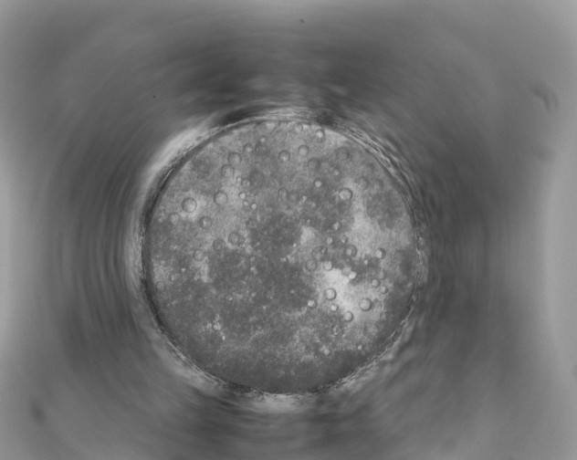 X0000111250149200908131214