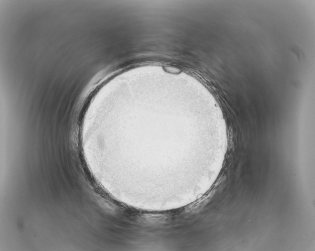 X0000111250150200908131214