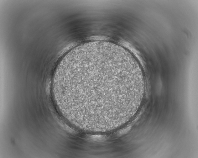 X0000111250153200908131214