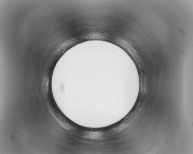 X0000111250157200908131214