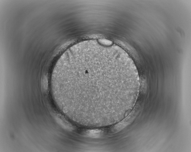 X0000111250158200908131214