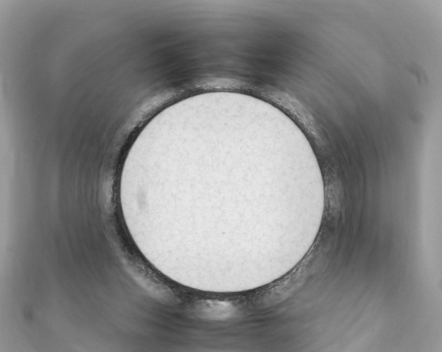 X0000111250159200908131214