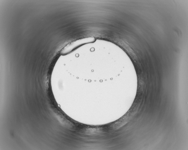 X0000111250160200908131214