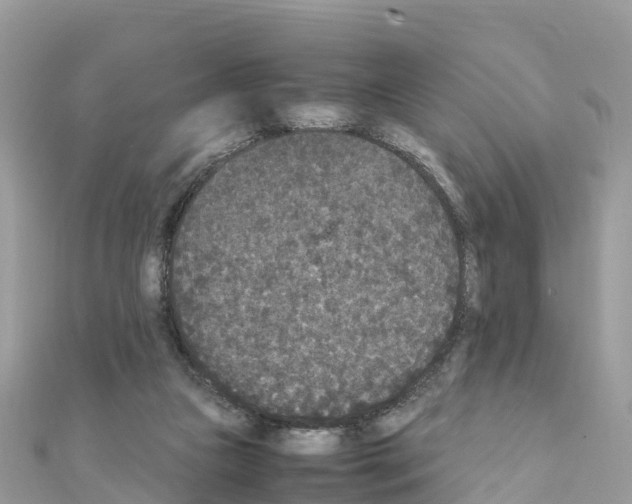 X0000111250161200908131214