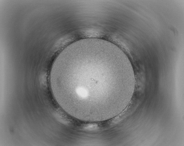 X0000111250162200908131214