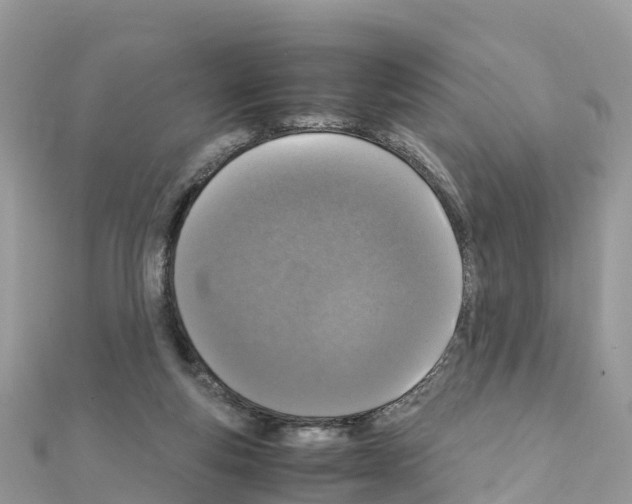 X0000111250163200908131214