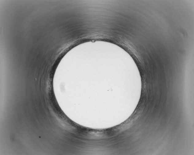 X0000111250164200908131214