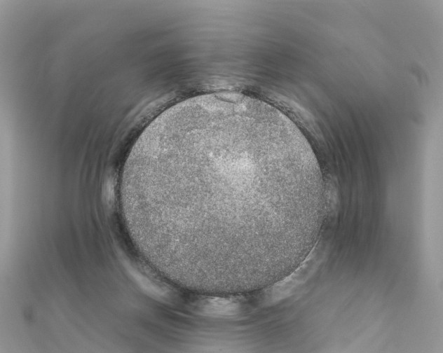 X0000111250166200908131214