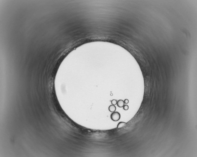 X0000111250168200908131214