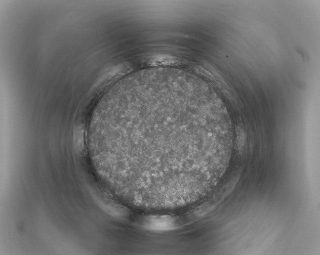 X0000111250169200908131214