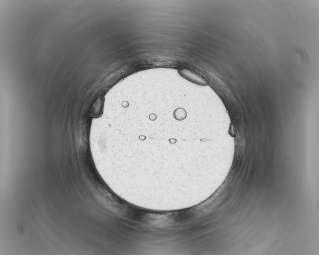 X0000111250170200908131214