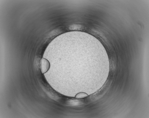 X0000111250171200908131214