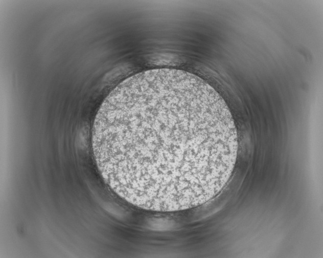 X0000111250175200908131215