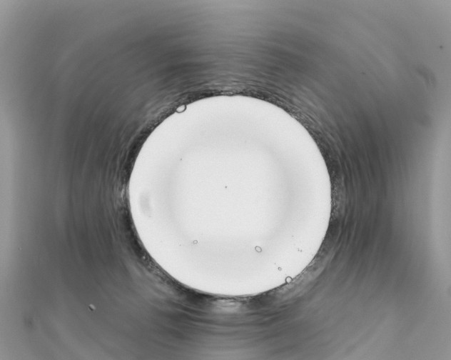 X0000111250176200908131215