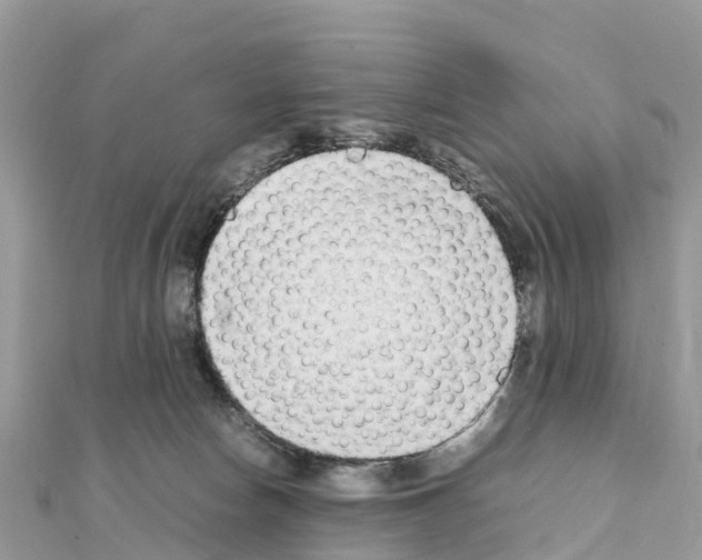 X0000111250178200908131215