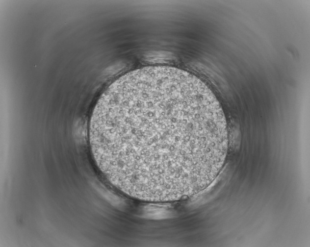 X0000111250179200908131215