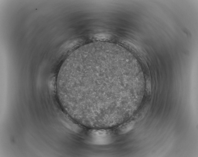 X0000111250181200908131215