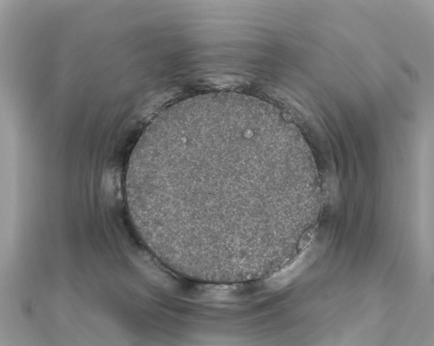 X0000111250182200908131215