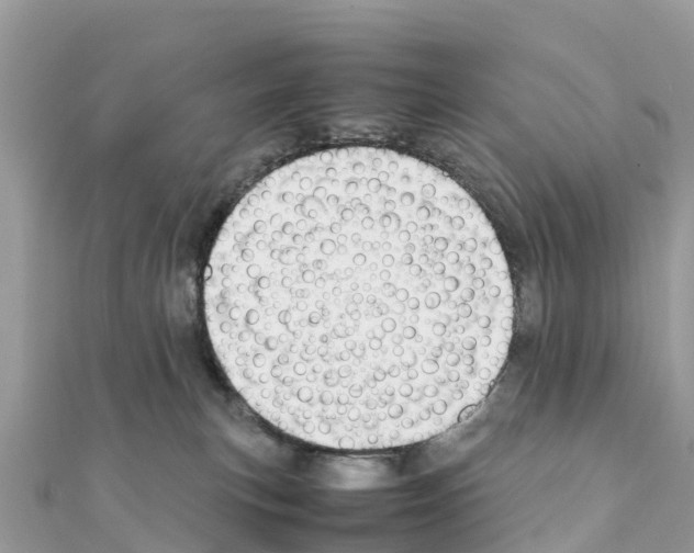 X0000111250183200908131215