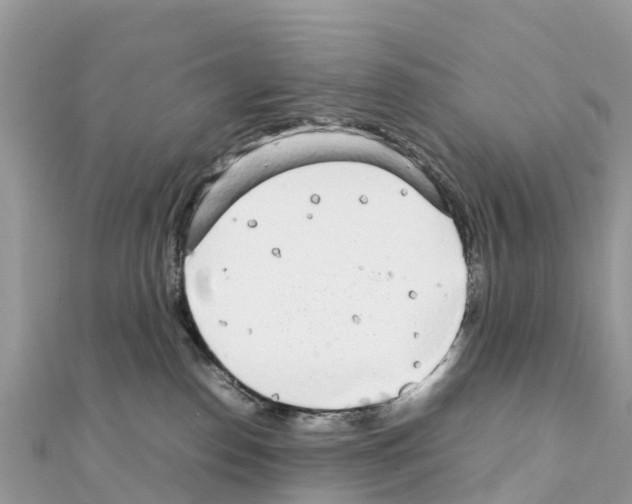 X0000111250186200908131215