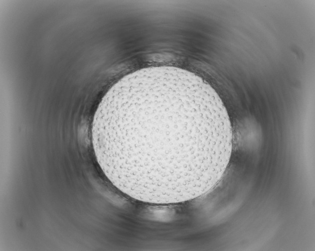 X0000111250187200908131215