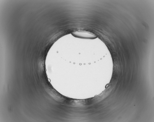 X0000111250188200908131215