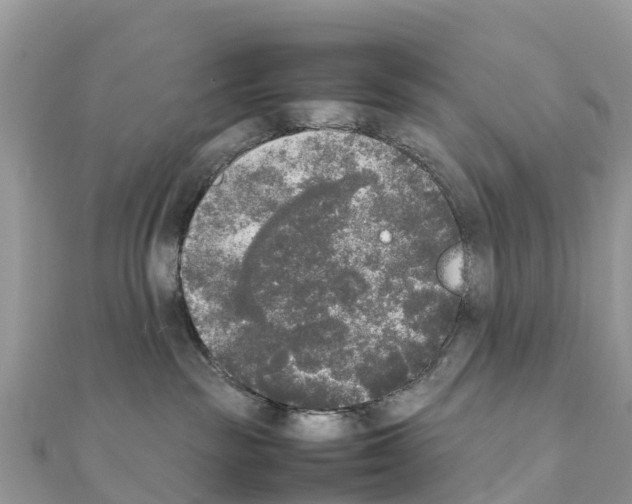 X0000111250189200908131215