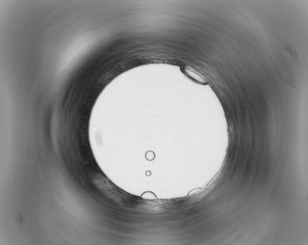 X0000111250190200908131215