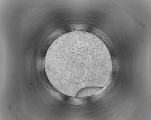 X0000111250191200908131215