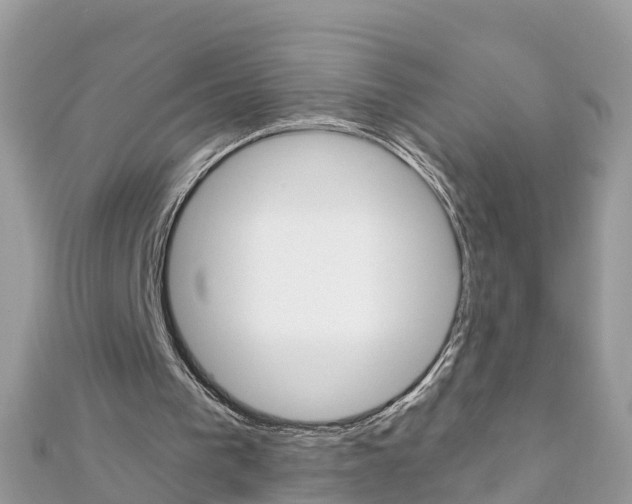 X0000111250193200908131214