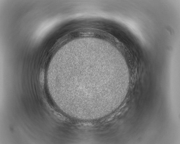 X0000111250194200908131214