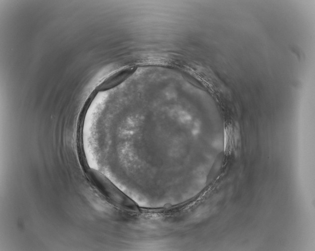 X0000111250195200908131214