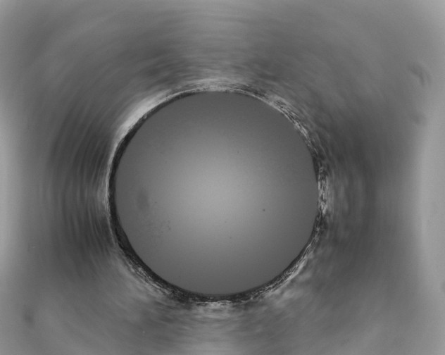 X0000111250196200908131214