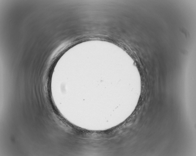 X0000111250197200908131214