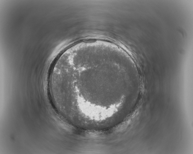 X0000111250199200908131214